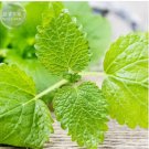 20 seeds Heirloom Lemon Balm Seeds - Melissa officinalis Seeds