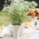 100 Seeds Gypsophila Paniculata Plant Outdoor & Indoor Perennial Garden Flower Ornaments Seed