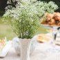 100 Seeds Gypsophila Paniculata Plant Outdoor & Indoor Perennial Garden Flower Ornaments Seed
