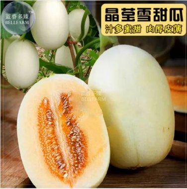 10 seeds Sweet Melon Redish Orange Inside White Skin Fruit Seeds