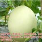 10 seeds Sweet Melon Redish Orange Inside White Skin Fruit Seeds
