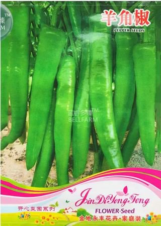 20 seeds Cucumber Mixed Mini Small Medium Large Vegetable Seeds