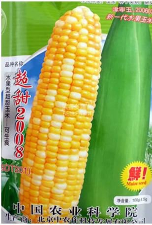 100 seeds Corn 'Super Sweet 2008' Fruit Corn Seeds