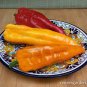 1000 seeds Sweet Pepper 'Sunset Italian' Mixed Seeds