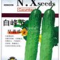250 seedsDryland Cucumber Seeds