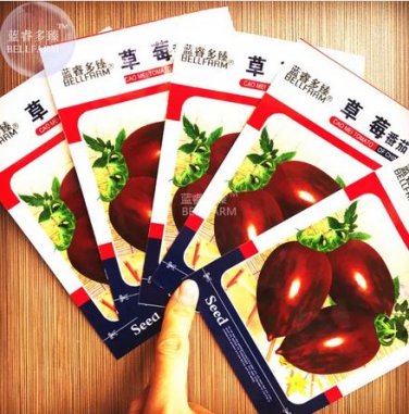 5 seeds Cherry Tomato Ukraine Coffee Purple Fruit Seeds