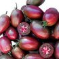 5 seeds Cherry Tomato Ukraine Coffee Purple Fruit Seeds