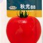 200 seeds Tomato 'Qiuguang 88' Big Red Vegetables Seeds