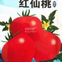 300 seeds Tomato Red 'flat peach' Fruit Vegetable Seeds