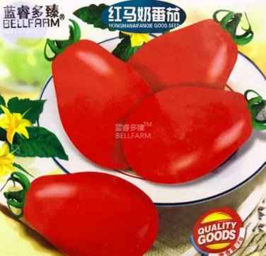 250 seeds Cherry Tomato Red 'Manai' Fruit Seeds