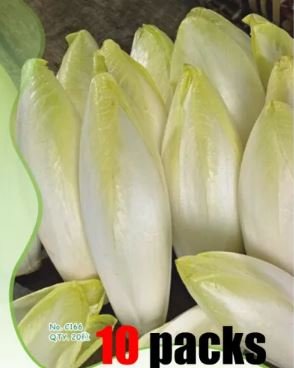10 Seeds Original Pack Combos Garden Planting Seeds Chicory Day Lily Green