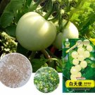 100 Seeds High Yield 'White Angel' White Round Truss Cherry Tomato Seeds Original
