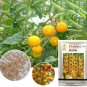 100 Seeds High Yield 'Yellow Pearl' Golden Bright Yellow Round Truss Cherry Tomato