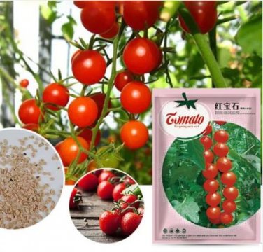 200 Seeds 'Star Ruby' Small Round Red Truss Cherry Tomato Seeds