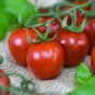 200 Seeds 'Star Ruby' Small Round Red Truss Cherry Tomato Seeds