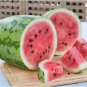 200 Seeds Jubilee Sweet Watermelon Seeds