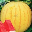 100 Seeds New Heirloom Yellow Skin Red Seedless Watermelon Seeds