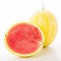 100 Seeds New Heirloom Yellow Skin Red Seedless Watermelon Seeds