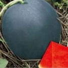 10 Seeds watermelon Seeds sweet & juice very tasty easy-growingtropical fruit