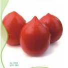 25 Seeds Rare Anhui Middle Red 'Peach' Tomato Organic Seeds