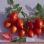 25 Seeds Rare Anhui Middle Red 'Peach' Tomato Organic Seeds