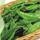 10 Seeds Organic Green Pea Seeds Original Pack
