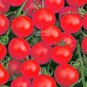 200 Seeds Tomato Family Seeds Over 20 Varities of Fruit for Your Choose