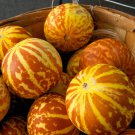 10 Seeds Heirloom Tigger Sweet Melon Sugar Contained Melon Yellow Golden