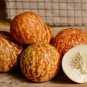 10 Seeds Heirloom Tigger Sweet Melon Sugar Contained Melon Yellow Golden