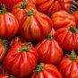 200 Seeds  Tlacolula Tomato Vegetable, Edible & Ornamental Plants, Organic Seeds