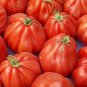 200 Seeds Tlacolula Tomato Vegetable, Edible & Ornamental Plants, Organic Seeds
