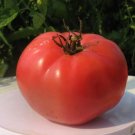 35 Seeds Big Pink Red Tomato Seed Non-Gmo Heirloom Vegetables