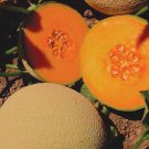 10 Seeds Green White Sweet Melon with overlapping curve gray skin