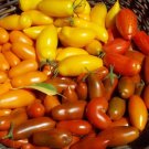 20 Seeds  Red Banana Tomato Seed Organic Heirloom Vegetables