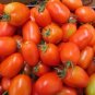20 Seeds Red Banana Tomato Seed Organic Heirloom Vegetables