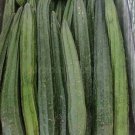 10 Seeds  Luffa Acutangula Angled Luffa Vegetables Ridged Luffa Chinese Okra