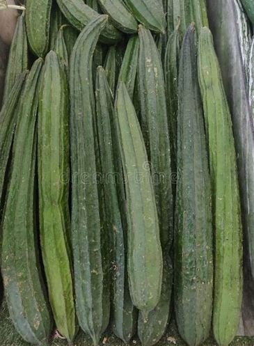 10 Seeds  Luffa Acutangula Angled Luffa Vegetables Ridged Luffa Chinese Okra