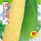 100 Seeds Super Sweet Fresh Yellow Corn High Yield