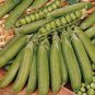 150 Seeds Organic Runner Dwarf Climbing Green Pea Seeds