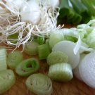 30 Seeds Spring Onion with White root Vegetables