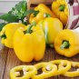 8 Seeds Golden Yellow Sweet Bell Pepper