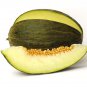 600 Seeds Rare Heirloom Elliptical Black Sweet Melon with Green Meat