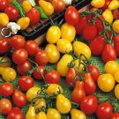 100 Seeds 'Tomato New Family' Red Yellow Green Small Tomato Seeds