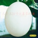 10 Seeds Japanese White Sweet Melon with Orange Meat