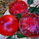 100 Seeds Golden Big (Dark Brandy, korol sibiri, German bi-color, RU taosiy) Tomato Seeds
