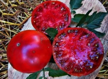100 Seeds Golden Big (Dark Brandy, korol sibiri, German bi-color, RU taosiy) Tomato Seeds