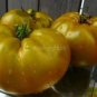 100 Seeds Golden Big (Dark Brandy, korol sibiri, German bi-color, RU taosiy) Tomato Seeds