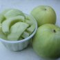 200 Seeds Glutinous Very Sweet Muskmelon Melon Fruit