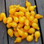 300 Seeds Middle Yellow McCullough Tomato Seeds