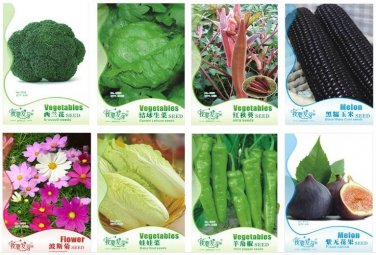 12 Seeds Very Black Tomato Seeds Kiwi Organic Pawpaw Vegetables Herbs